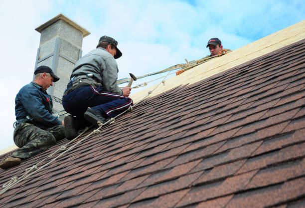 Best Roof Gutter Cleaning  in Edgar, WI